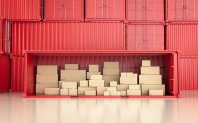 Portable Storage Units in Janesville, WI: Your Solution for Extra Storage Space